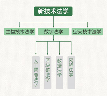 后入