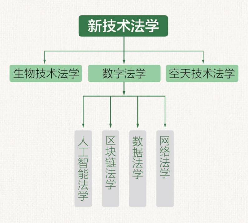 后入